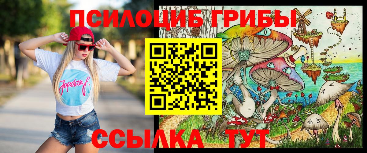 Галлюциногенные грибы мицелий Тула
