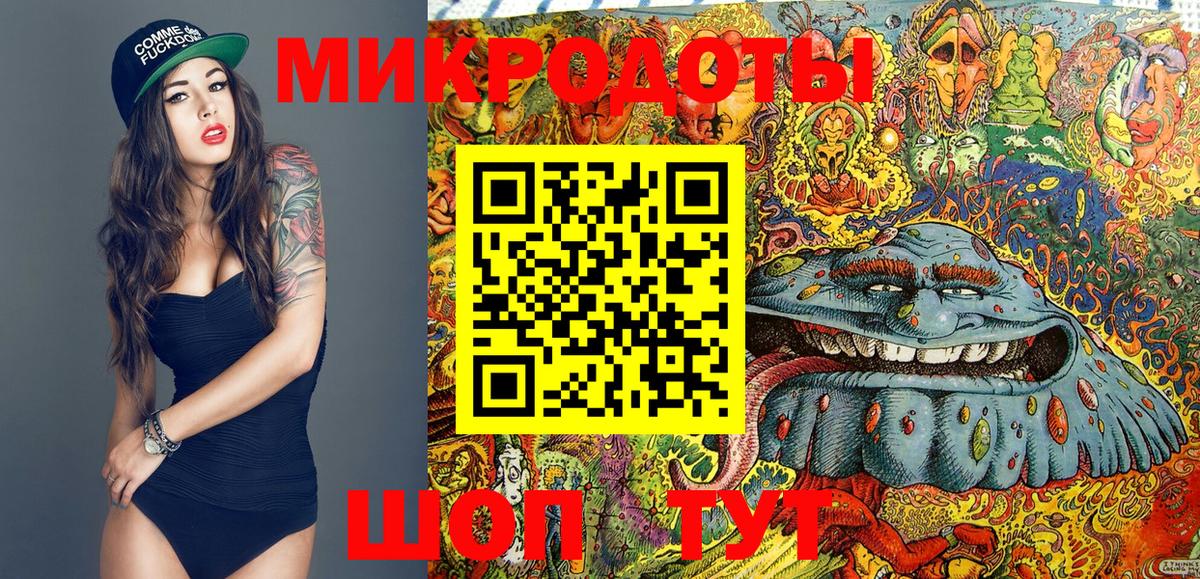 Галлюциногенные грибы Psilocybe  Вход с VPN  Тула  Псилоцибиновые грибы Psilocybine cubensis 